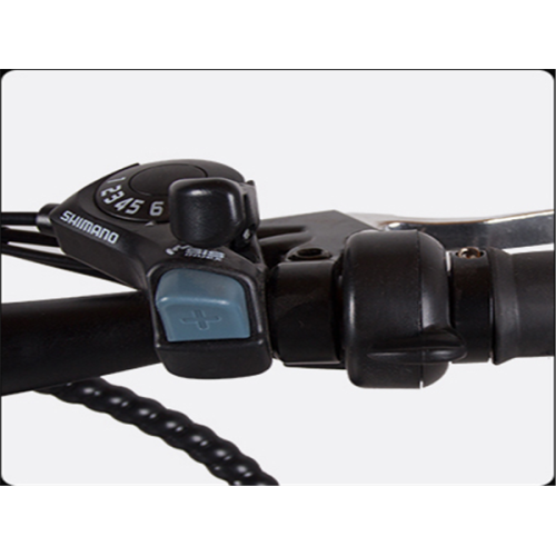 Pianto in lega di alluminio in alluminio in alluminio in bici elettrica 48v 350W LED LED ANTRADA IN MANUNIMENTO ASSOGLIO DI Disco INFROUTTRO IN MAGGIORNI